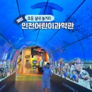 방축로 | 인천어린이과학관 초등 아이 인천 실내 놀거리 후기
