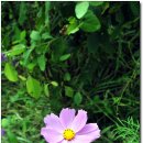 수월산방 이미지