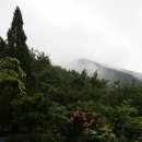 지리산장당골들머리펜션 이미지