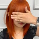 더에이블 이미지