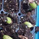 영복농장 이미지