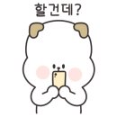 닥터페이퍼 이미지