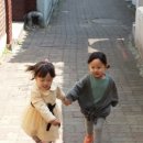 펄벅공원 이미지