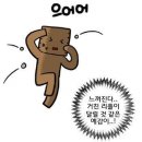 일(1) 이미지