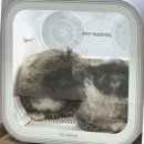 드라이37 | 디클펫 드라이룸 펫 강아지 고양이 37% 할인 소식