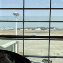 5박 7일 발리 신혼여행 후기 🏝️🩵 -1~2일차[ 팜투어 후기 ]