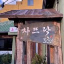 제주 서귀포 여행: 차뜨락 &amp; 미영이네 &amp; 콜트레인 (제주 감성 찻집/맛집/술집)