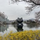 연화분식 | 2026 김천연화지벚꽃축제 _ 경북 벚꽃명소 야간조명 벚꽃 실시간 개화 일정 주차장 다녀온후기