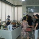 와우(WOW) 이미지