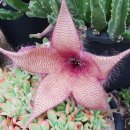 우각농장 이미지