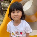 아이태권 장곡도장 이미지