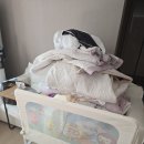 매직크리닝 | [SK매직 안심OK클리닝 후기] 매트리스 렌탈 + 슬립디노 리본프레임 실사용기