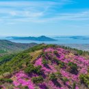 봄 트레킹 여행 추천, 분홍빛 진달래 명소 4 이미지