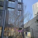 오티에르 이미지