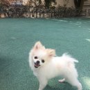 논공상회