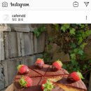 금손스터디카페 이미지