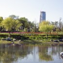 한밭수목원 동원 이미지