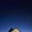 [한국선천성심장병환우회 역사 기행] 궁궐에서 만나는 조선, 5대 궁궐 역사 산책 - 덕수궁 이미지