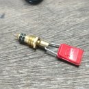 비알에스 이미지