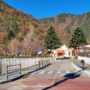 숲실초등학교 이미지