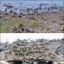 고인돌 조형물 이미지