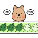 국수와김밥 - 부천시 오정구 고리울로 71 | 국수와김밥