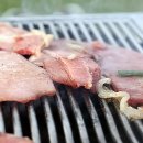 금남멧돼지 이미지