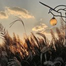 율산초등학교 이미지