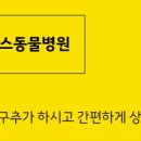 오아시스 정형외과 신경외과 동물병원 이미지