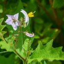 영산대학교(해운대) 이미지