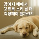 꼬르륵 이미지