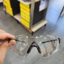 디노사이버 이미지