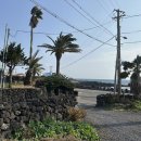 바닷가 풍경 | 제주여행 바닷가풍경 cafeEDC 후기