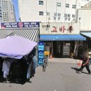 고바우문구 네이버블로그