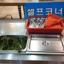 해적선생오리 이미지