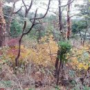 동해시-47 이미지