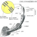 고급정보 이미지