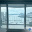 자이빅스