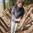 알밤오름하우스 이미지