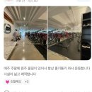 홍키