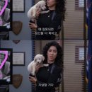 유지리 | [블챌] 미드 추천일까 후기일까(+영드)