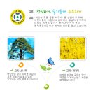 평택중앙초등학교 이미지