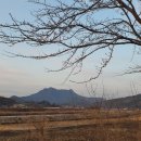 금곡송어장 이미지