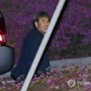 다판다 이미지