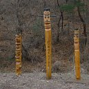 국토종주자전거길1-136 이미지