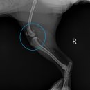 아랑동물병원 이미지