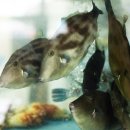 산지물호텔 이미지