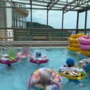 호돌유치원 이미지