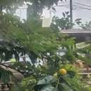 월학3리 경로당 이미지