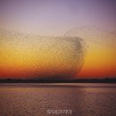 (주)엔터버드 이미지